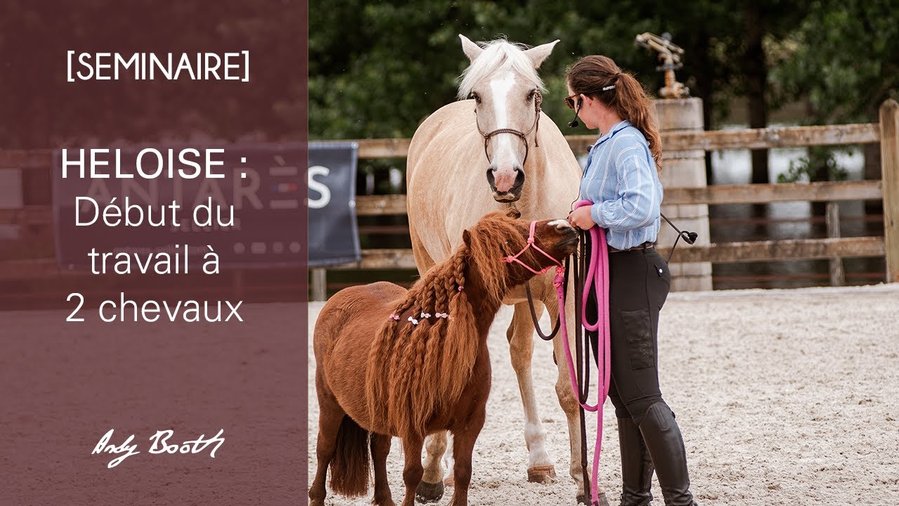 [SEMINAIRE] Heloïse : début du travail à 2 chevaux