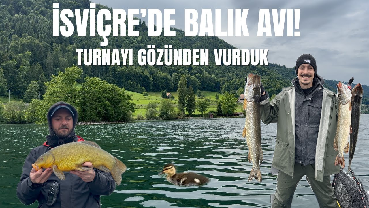 Zug Gölü’nde Turna Avı! İsviçre’de Tekneyle Balık Tuttuk🇨🇭