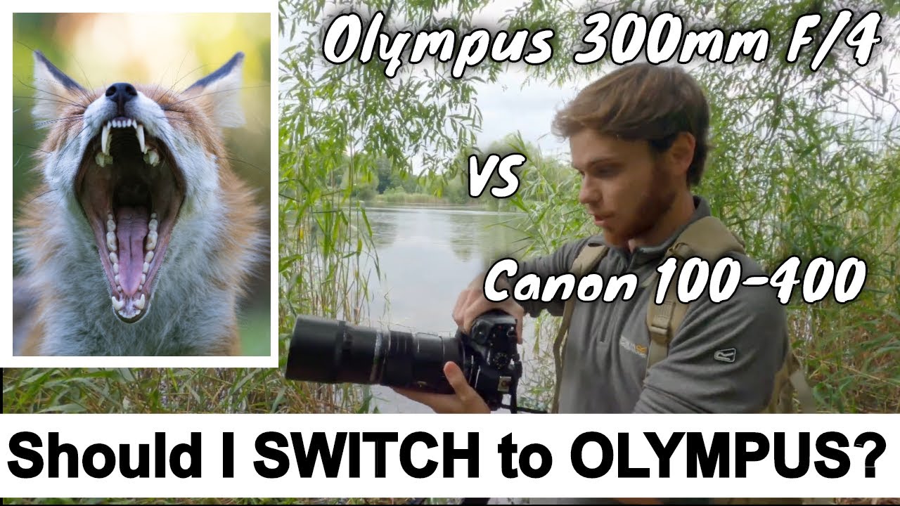 Olympus E-M1X vs Canon 7D MK ii For Wildlife Photography || First Impressions & SHOULD I SWITCH?