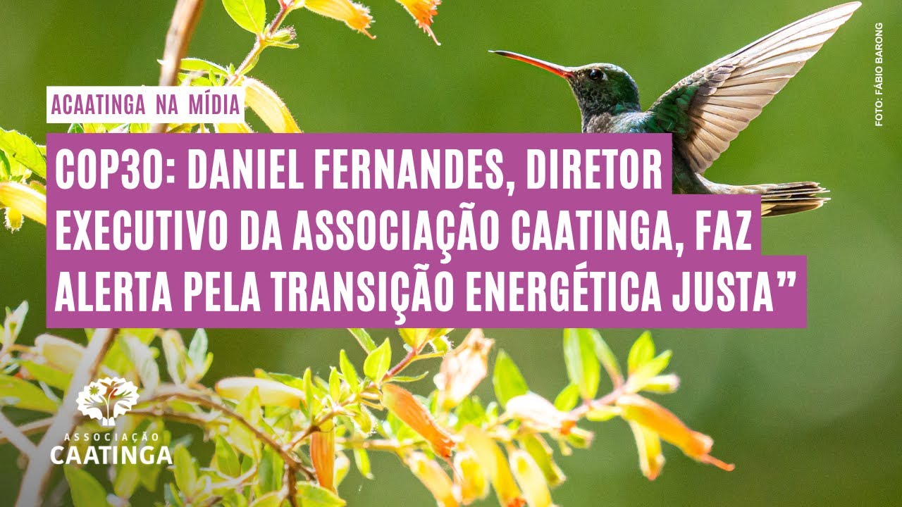 COP30: Daniel Fernandes aponta caminhos para uma transição energética justa
