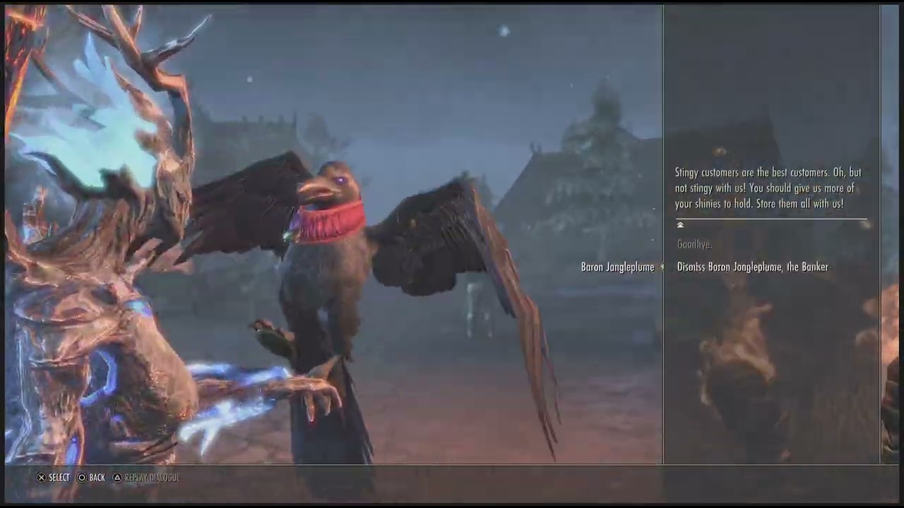 The Elder Scrolls Online_20260127204828