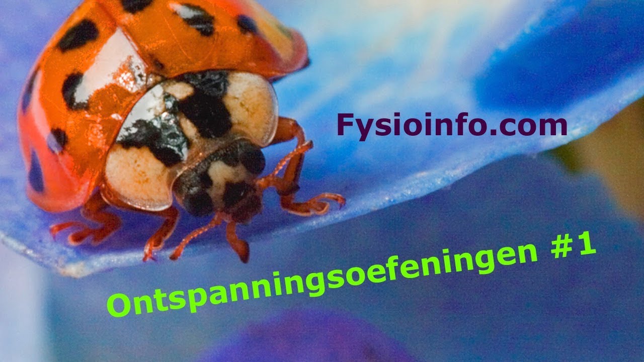 Ontspanningsoefening. Minder stress door spieren aan te spannen en weer te ontspannen. Niet moeilijk
