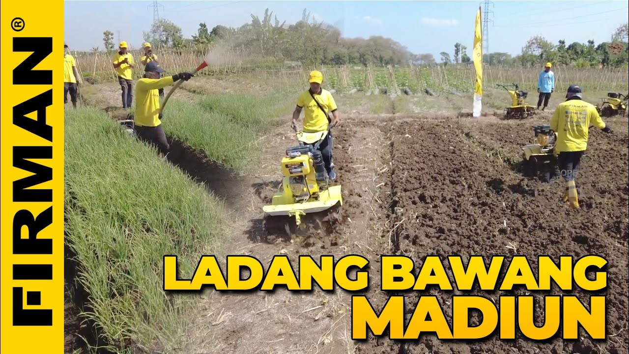 HAJAR LADANG BAWANG MADIUN PAKAI FTL720D
