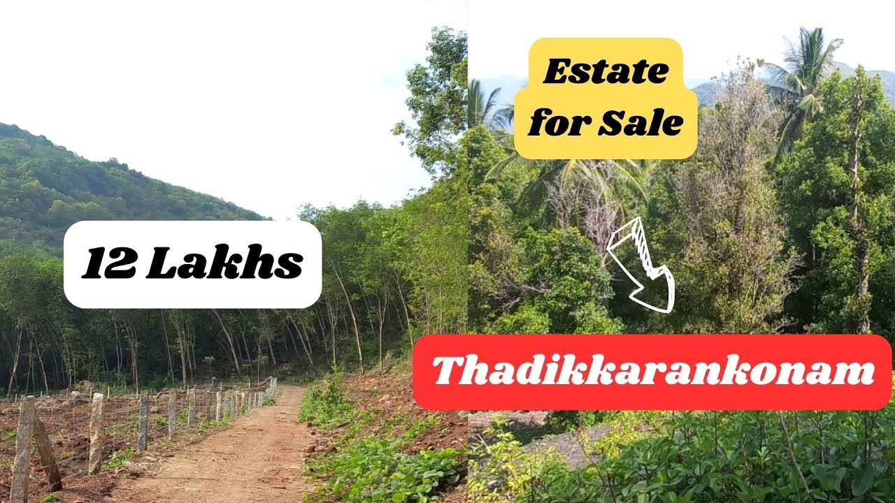 50 Acres Rubber #Estate for Sale in #Thadikkarankonam #lotusrealestate #nagercoil #இடம் வாங்க விற்க