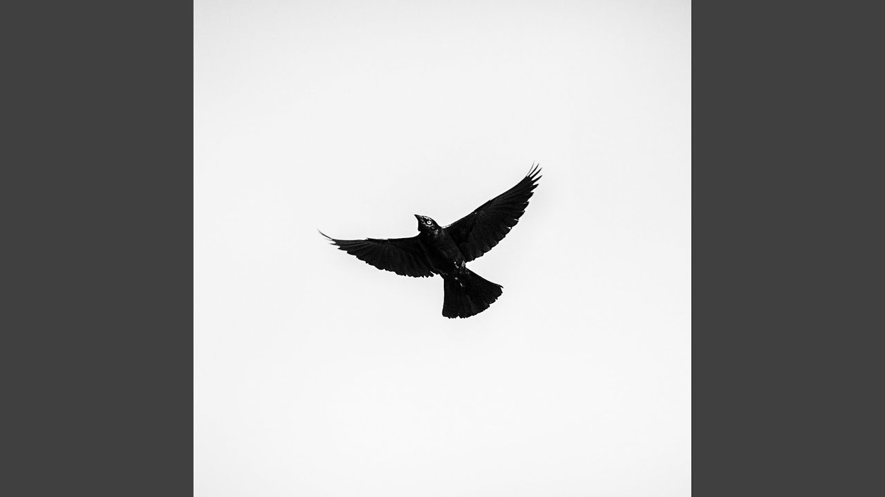 Corporeal