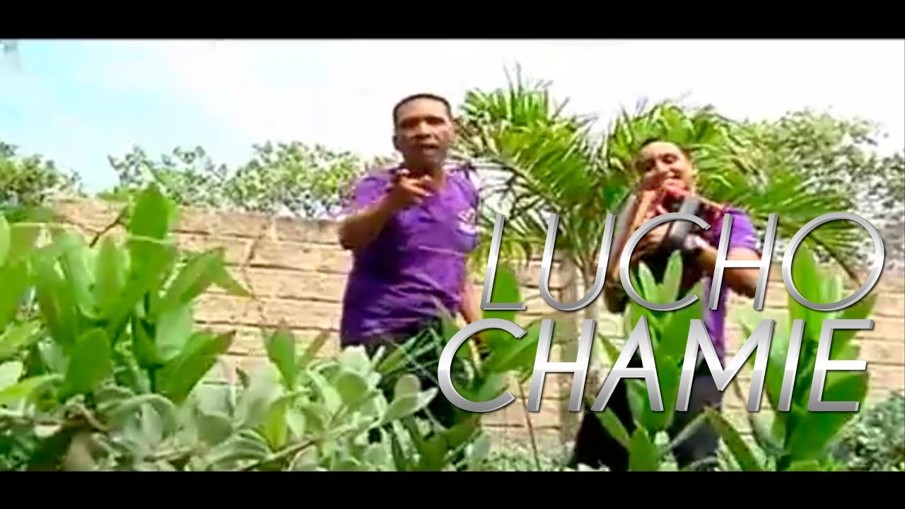 Lucho Chamie - Nadie sabe pa quien trabaja VALLENATO