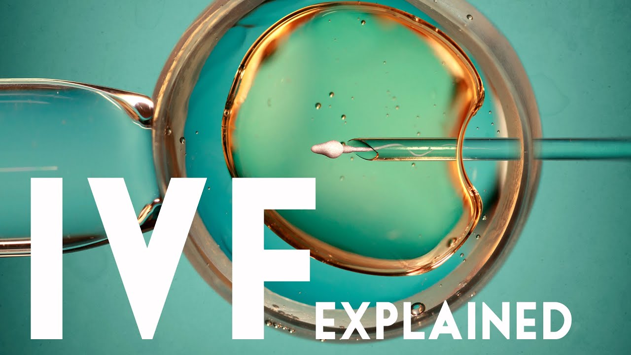 Making Babies With Science - Your Complete IVF Guide