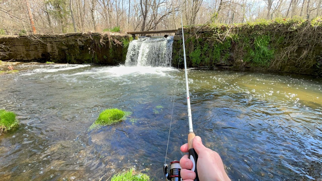 TROUT Fishing with NEW Spinner Technology (BIG TROUT!)