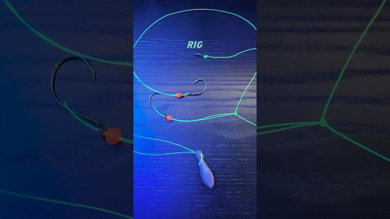 How to Tie a Hi-Lo Rig for Catching Striped Bass! #shorts #fishingtips #stripedbass