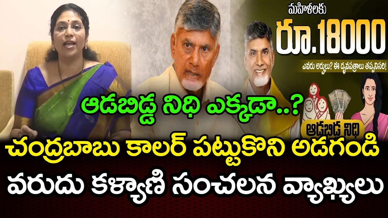 చంద్రబాబు కాలర్ పట్టుకుని అడగండి !| MLC Varudu Kalyani Fire Chandrababu | PDTV News
