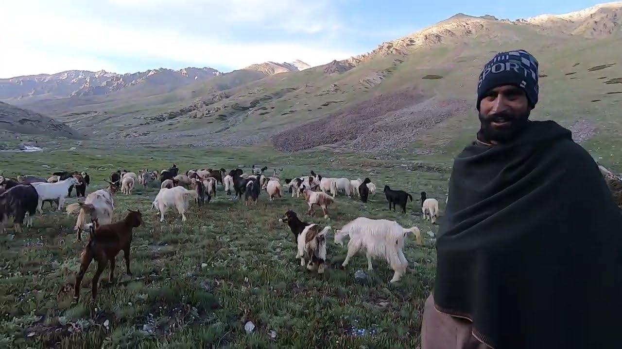 Life style Gujjar bakarwal people in kaskmire