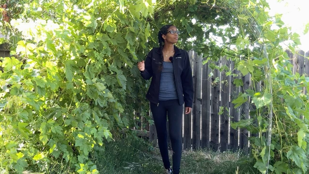 Mid May Garden Tour (It's Chaos Gardening) | Spring Garden Tour 2024