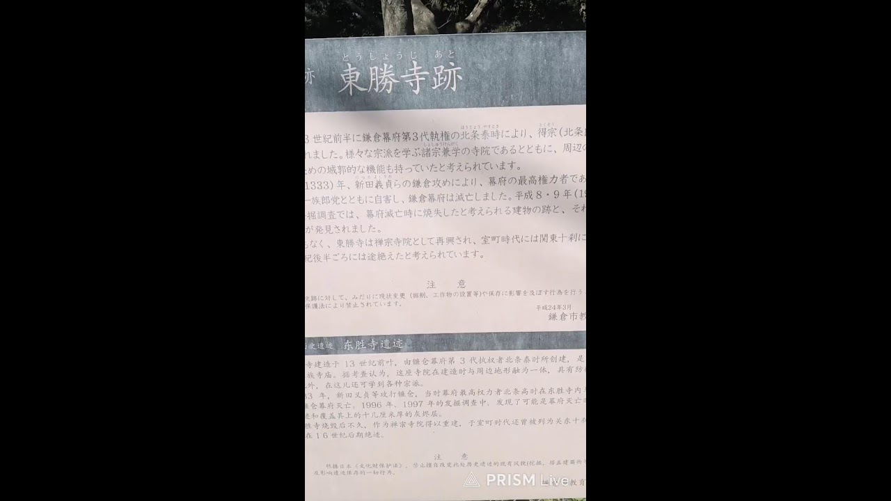 鎌倉ナンパ配信
