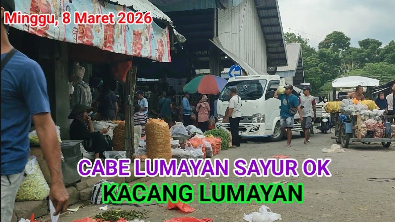 CABE MASIH TOP DI PASAR INDUK PARE KEDIRI 