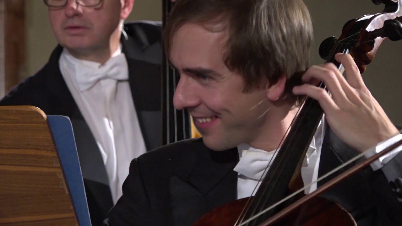 Johann Strauss - Rosen aus dem S&uuml;den - Walzer op. 388 - Wiener Streichersolisten