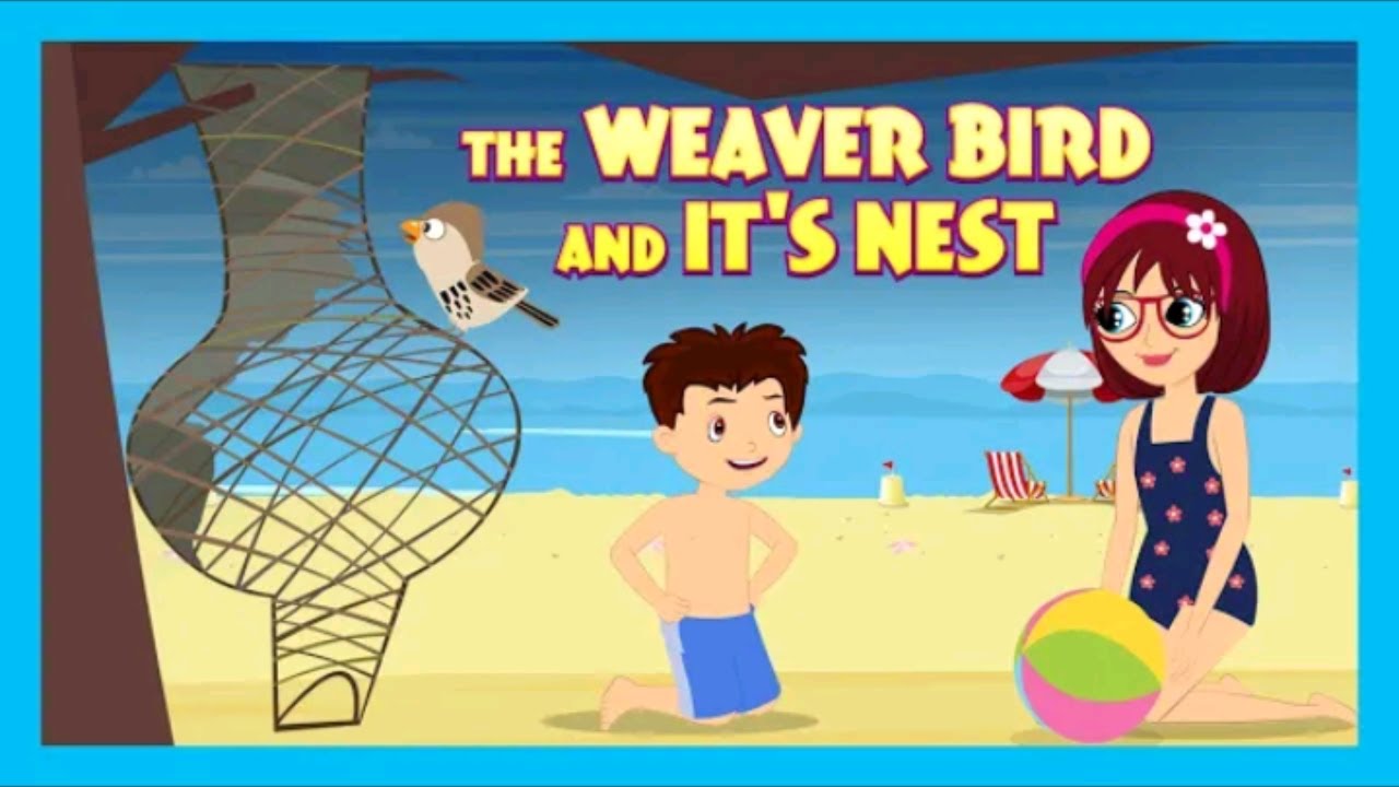 The weaver Bird and It's Nest Story for kids in English