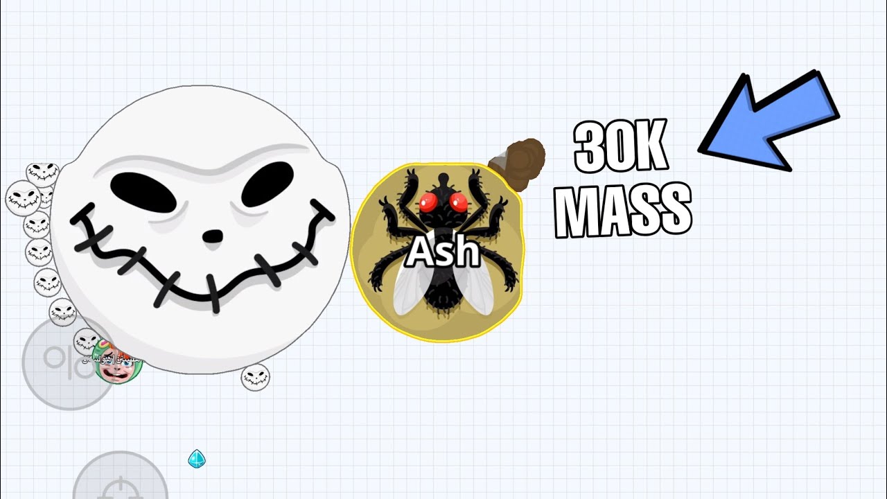 LEVEL 5 = PRO ? (Agar.io Mobile)