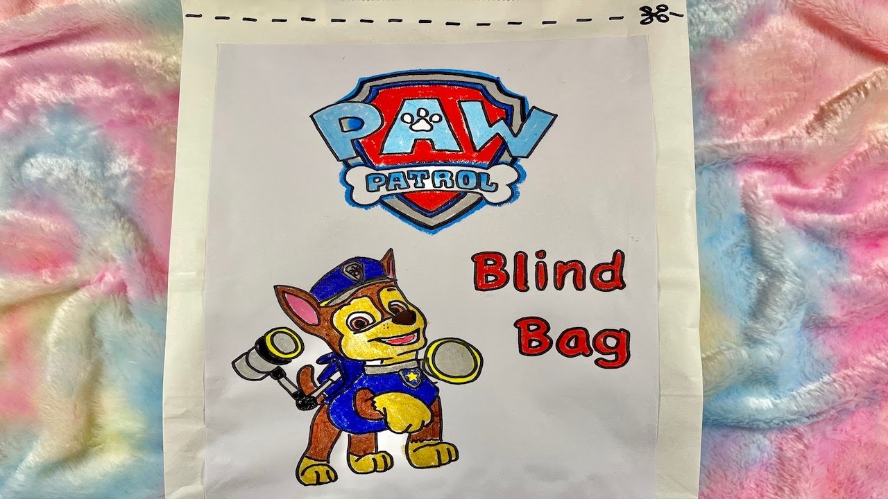 ASMR DIY PAW PATROL Blind Bags and Unboxing Mystery Surprises | PaperSquishy | Relaxing & Satisfying