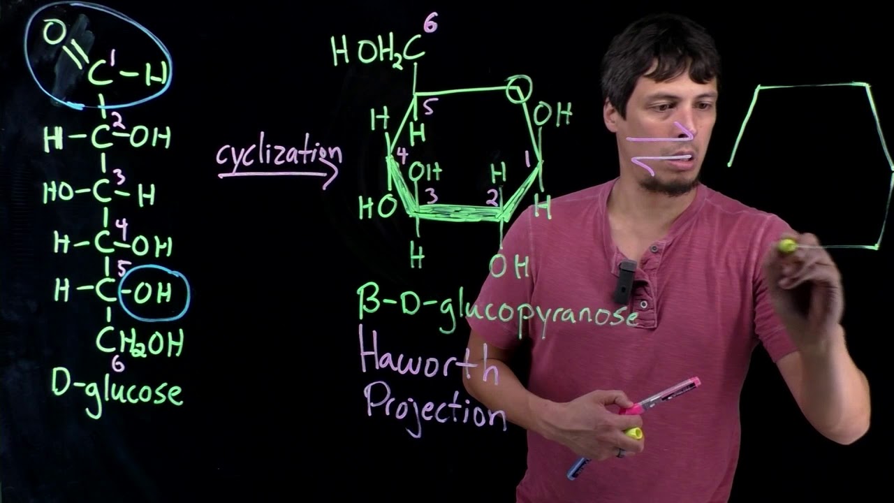 Topic 9.5 - Sugar cyclization