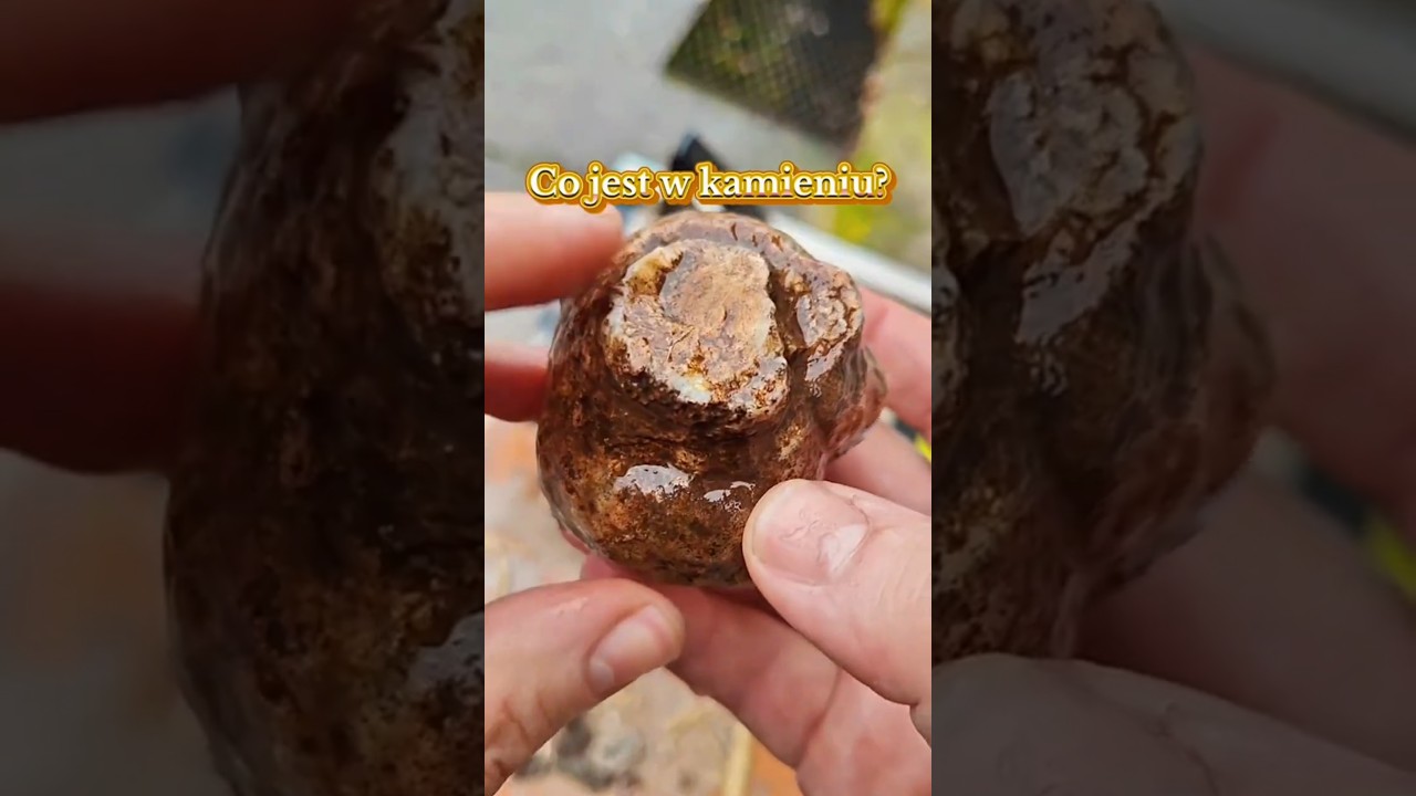 Jak rozpoznawać kamienie? #geologia #pasja #minerały #kamień #rocks #gemstone #ciekawostki