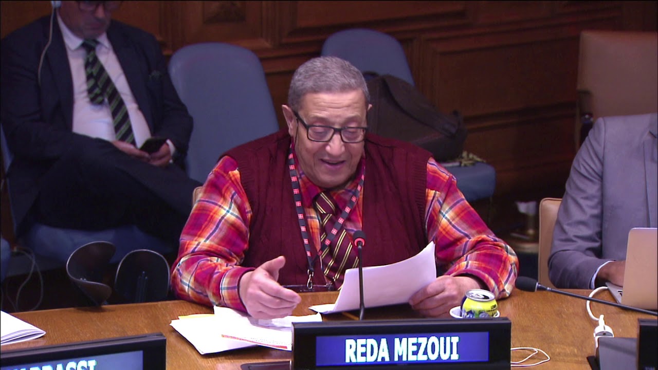 2019 Presentation - Mohamed Réda Mezoui • Docteur d’Etat en Sciences Politiques Paris I-Sorbonne