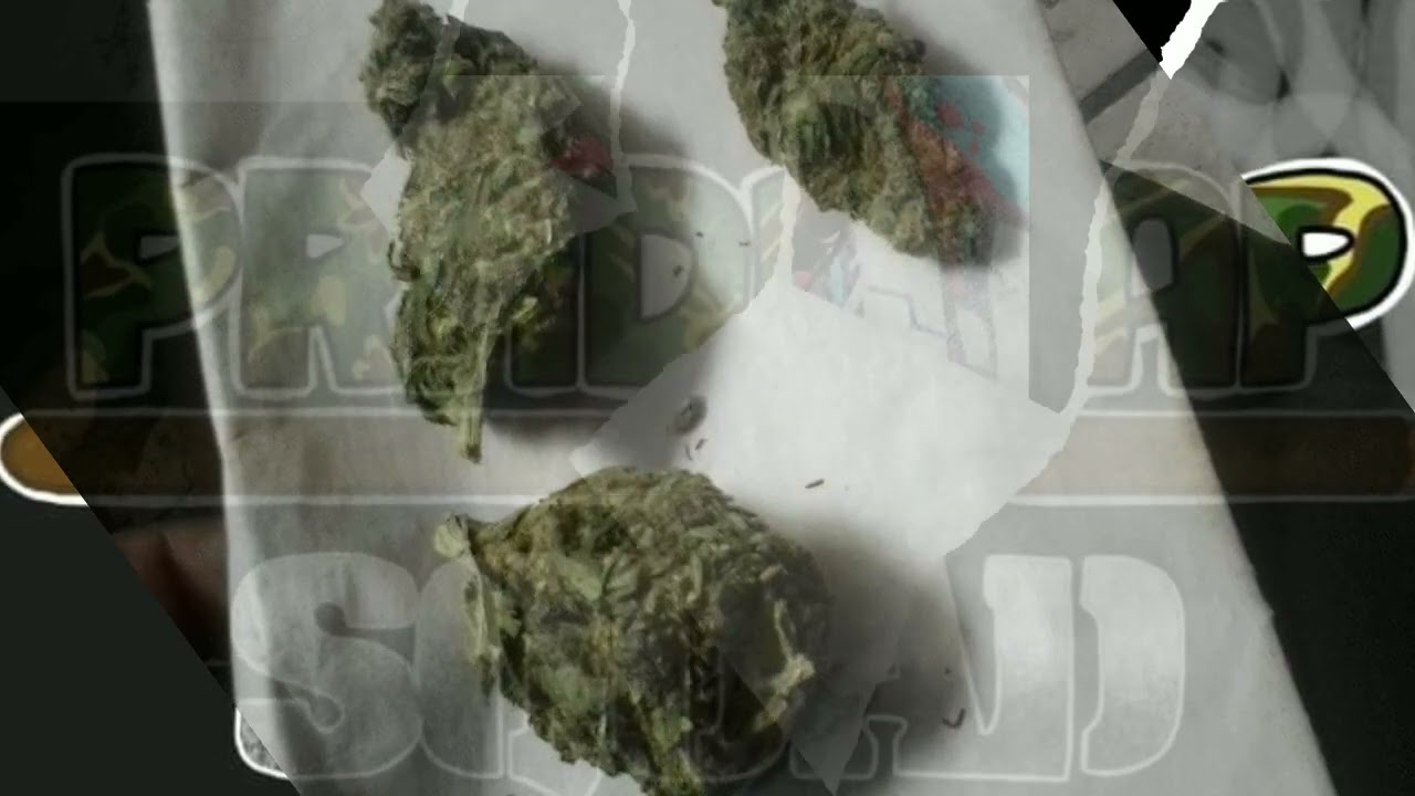 5- Mademoiselle - #T2H Ft #NotazPerdidaz