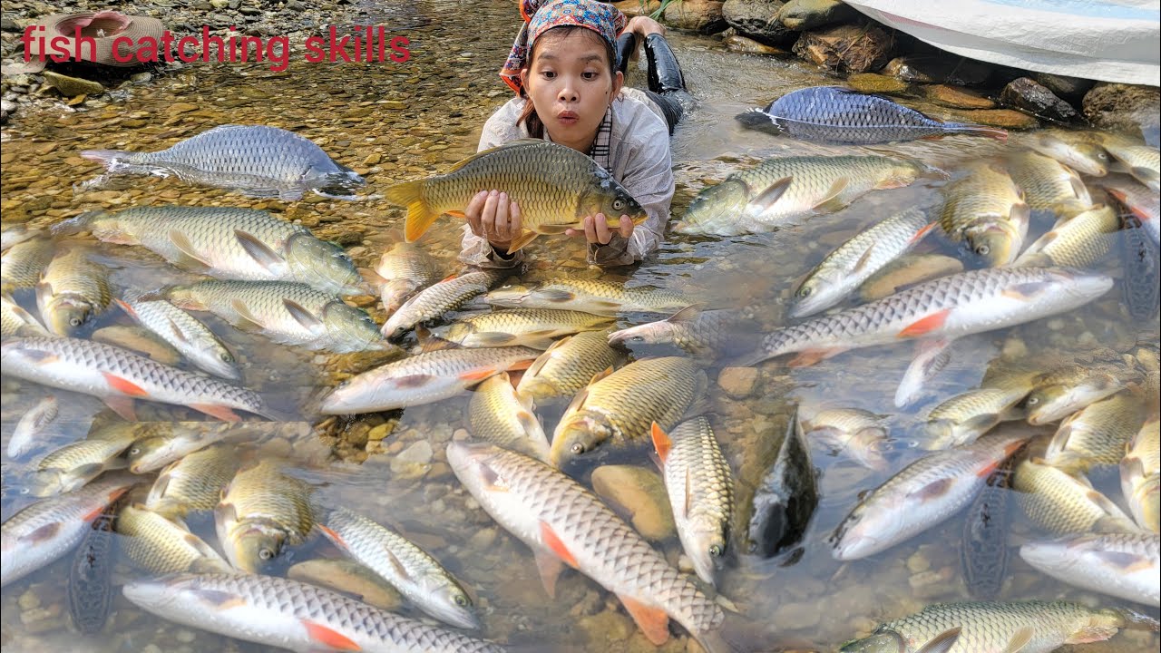 Suddenly discovered many giant fish in a piece of water. The girl caught many giant fish