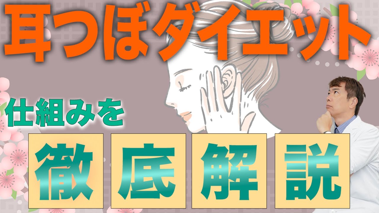 医学的に見る耳つぼダイエットの仕組みと、その“続けやすさ”の理由