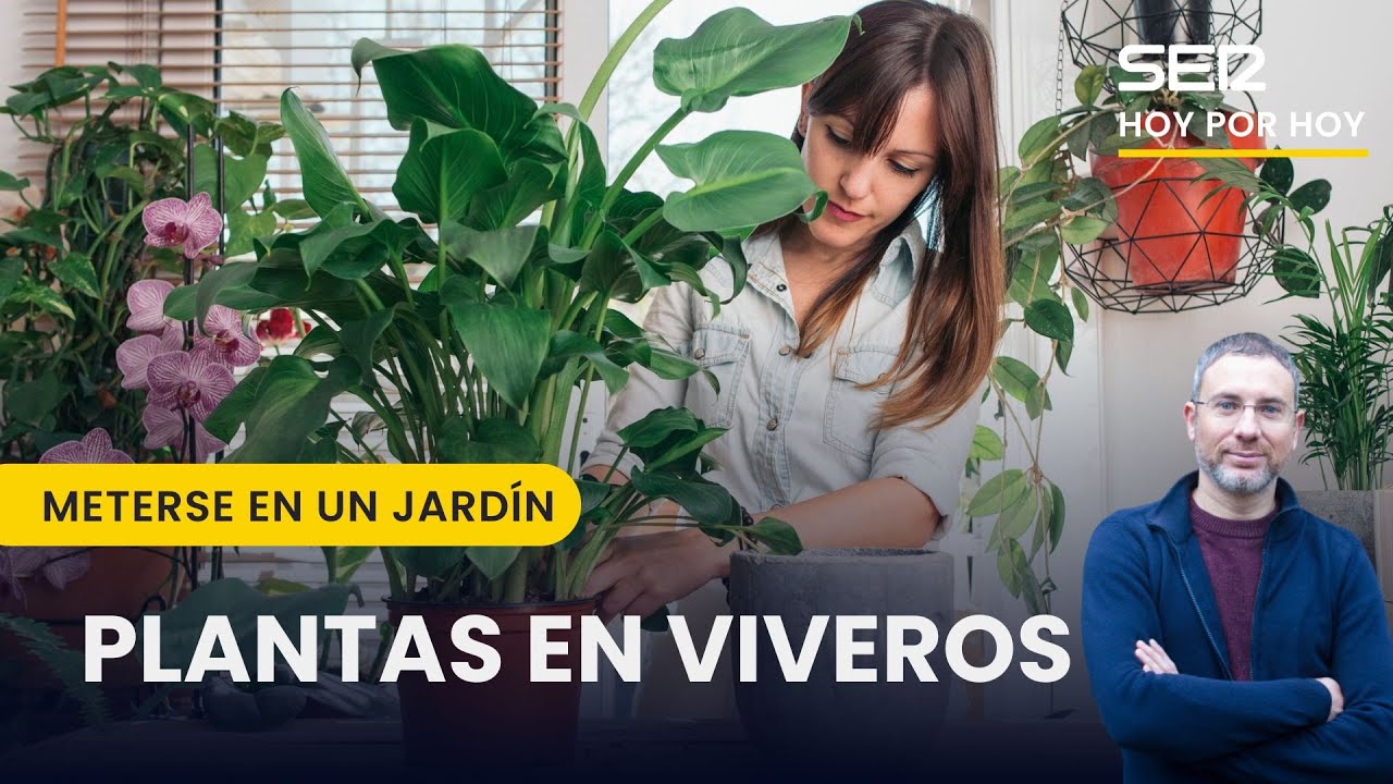 🪴 EL CLÁSICO QUE NUNCA FALLA: COMPRAR EN MACETA | Meterse en un jardín