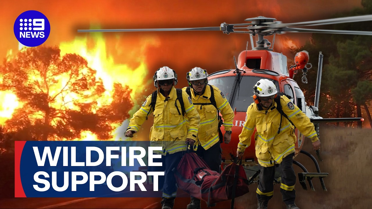 Aussie firefighters race to battle catastrophic European wildfires | 9 News Australia