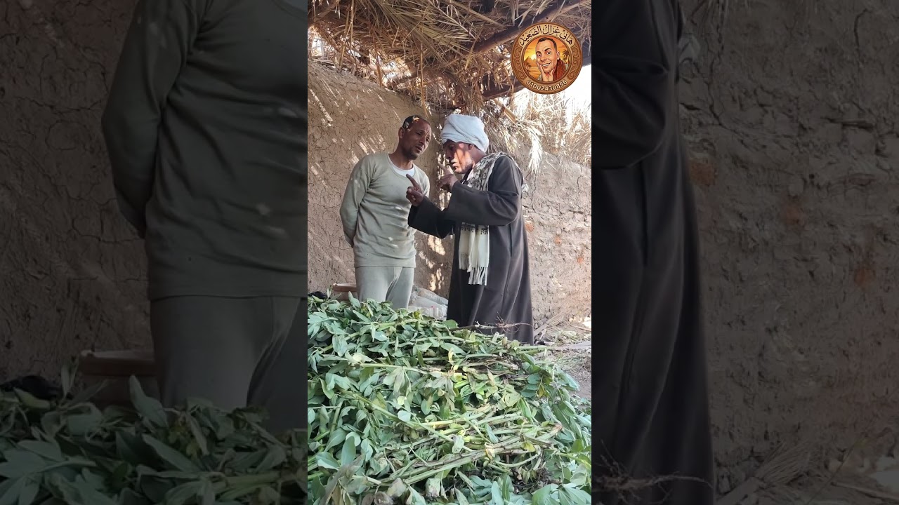 الفلاح الغبي خلفه العار#اكسبلور #funny 
