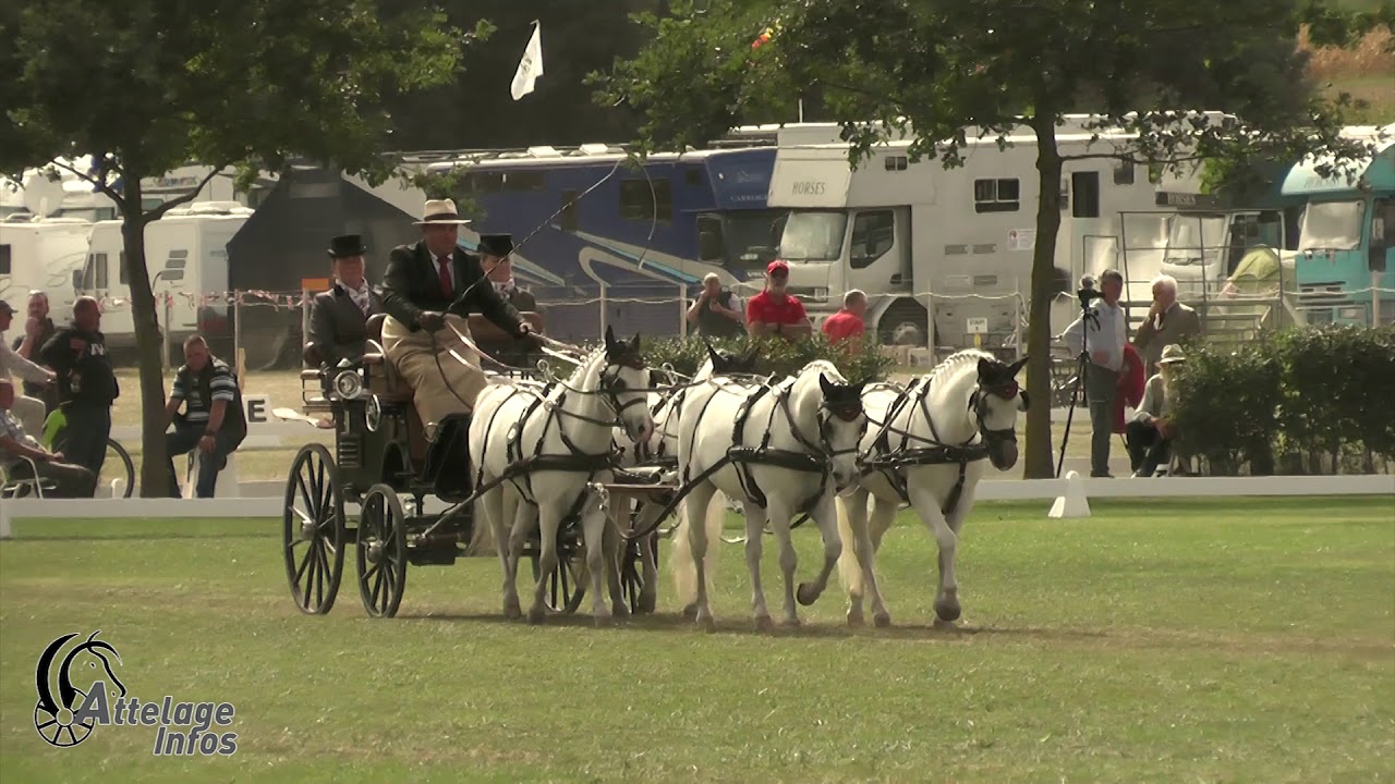 Bert VAN DEN BOSCH   Bel   Dressage   FEI DPWC KISBER 2019