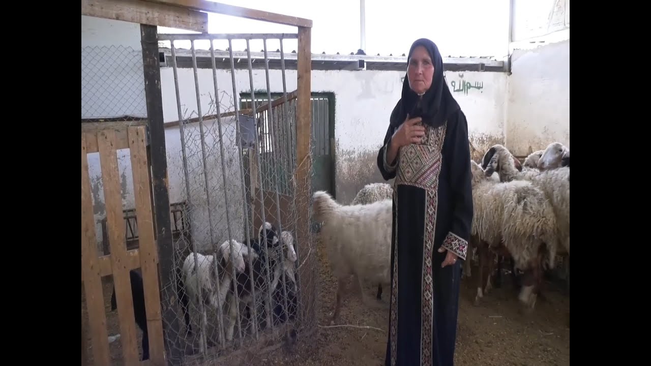 عائلة الربعي تكابد الاستيطان في قرية التوانة بمسافر يطا جنوب  الخليل