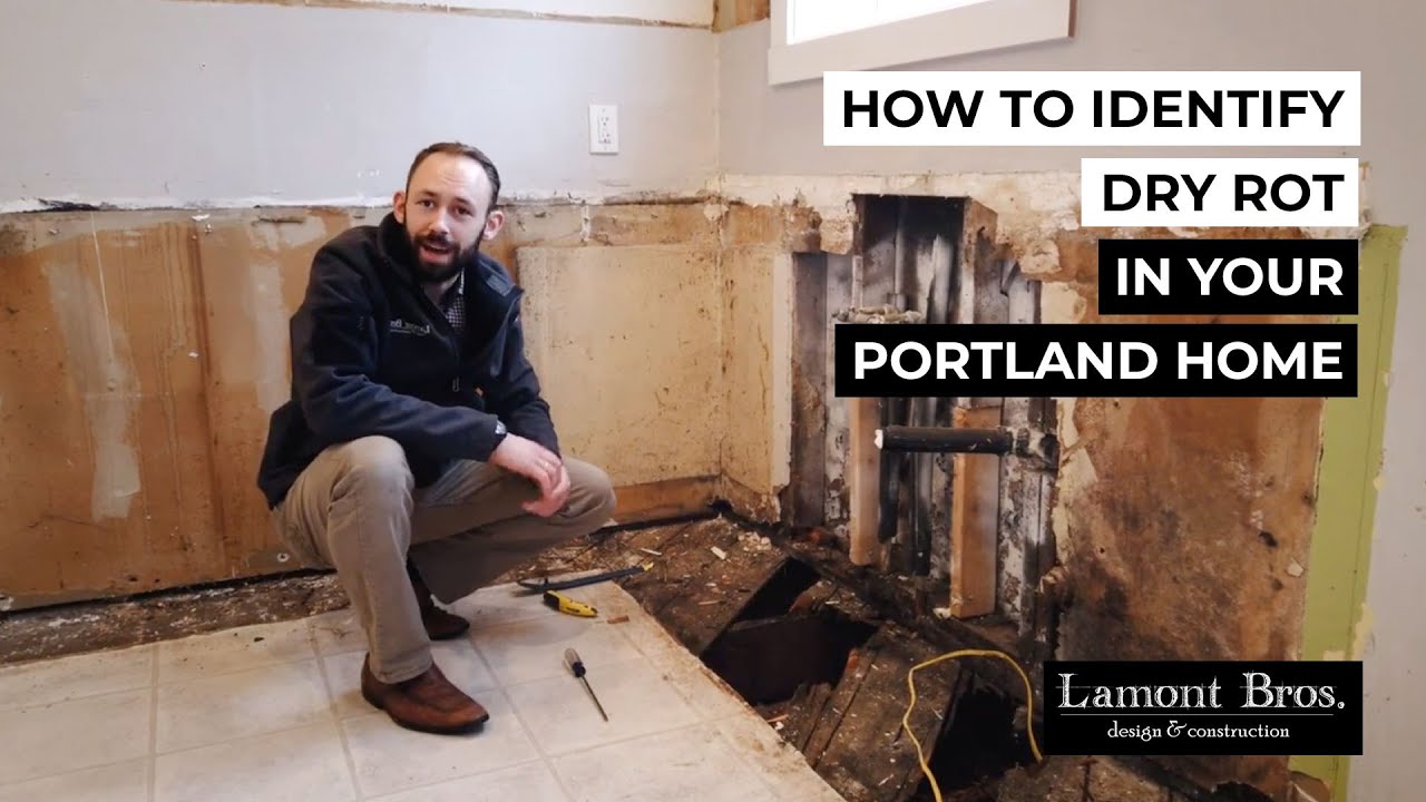 How to Identify Dry Rot in Your Portland Home