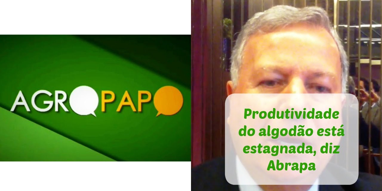 Produtividade do algod&atilde;o est&aacute; estagnada, alerta Abrapa