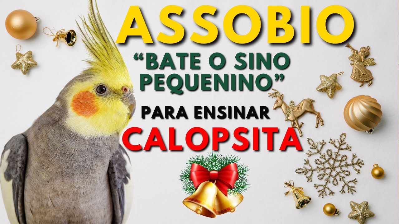 ASSOBIO NATALINO 