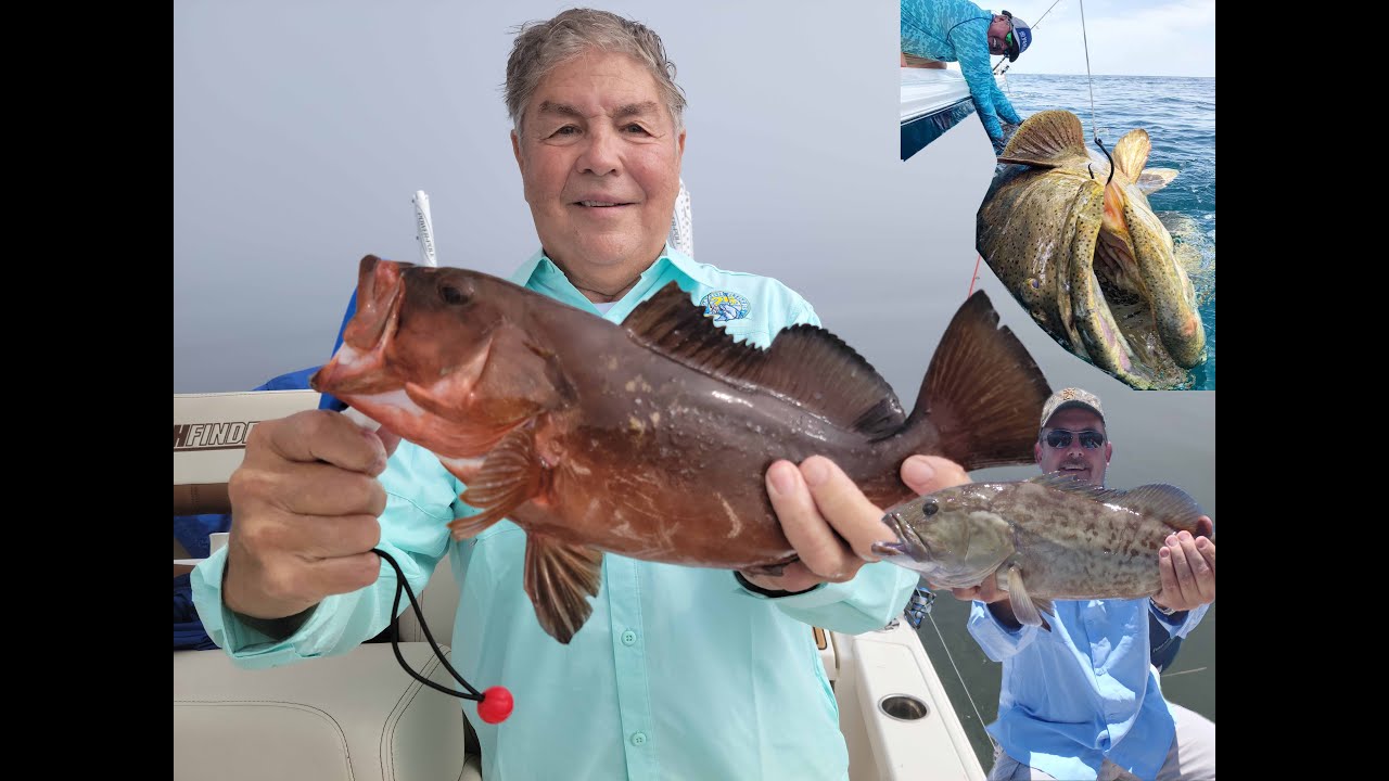 Tampa Bay Grouper Techniques