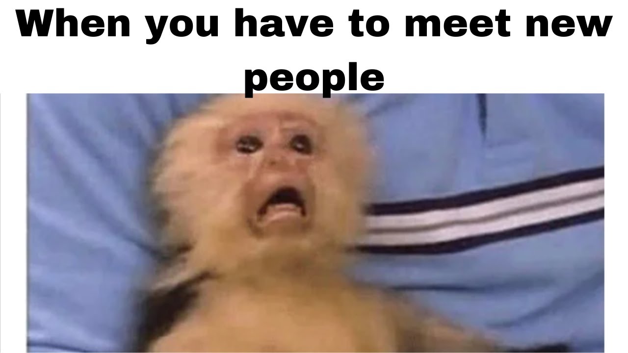 MEMES THAT YOU RELATE TO
