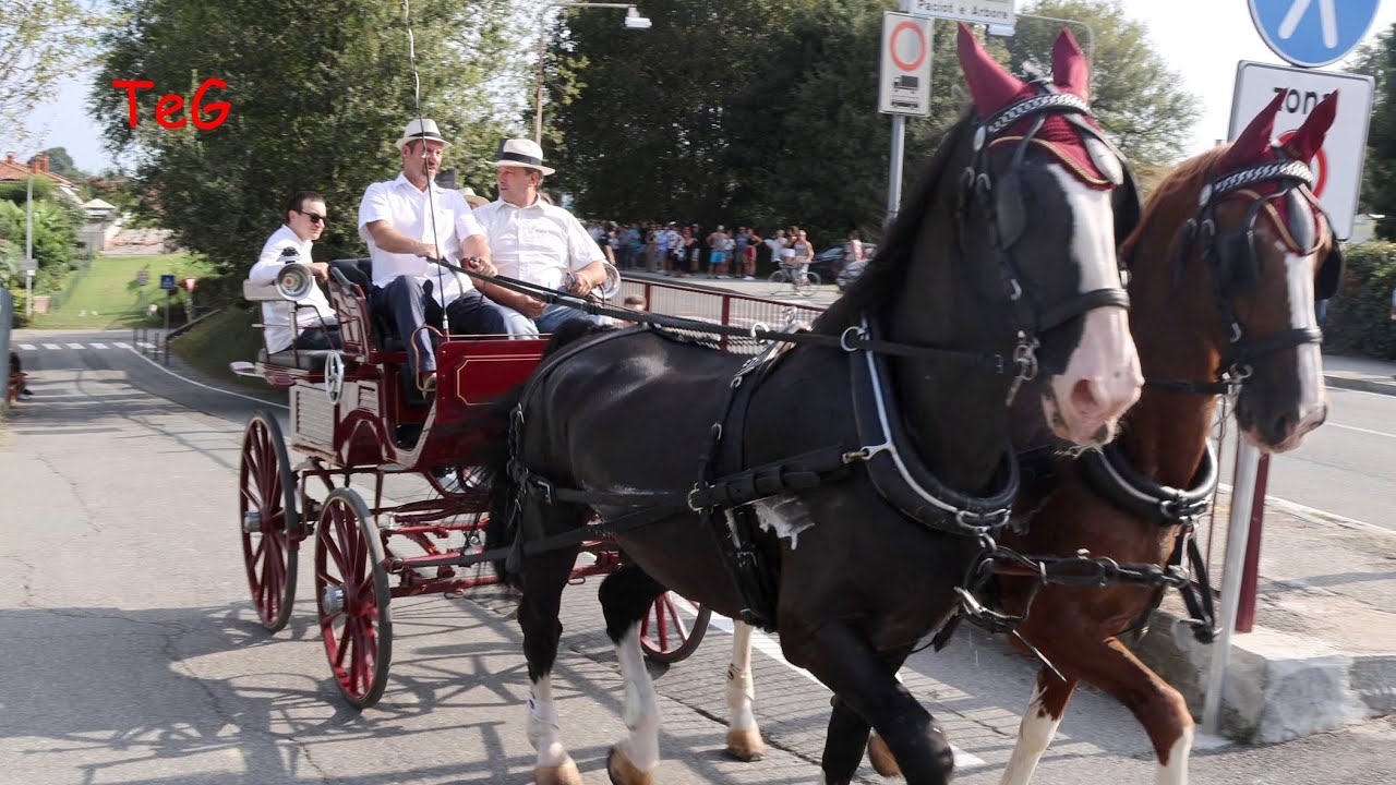 Sfilata delle carrozze con cavalli - San Bernardo Ivrea 2024