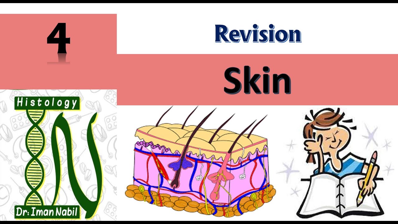 Skin revision-First year