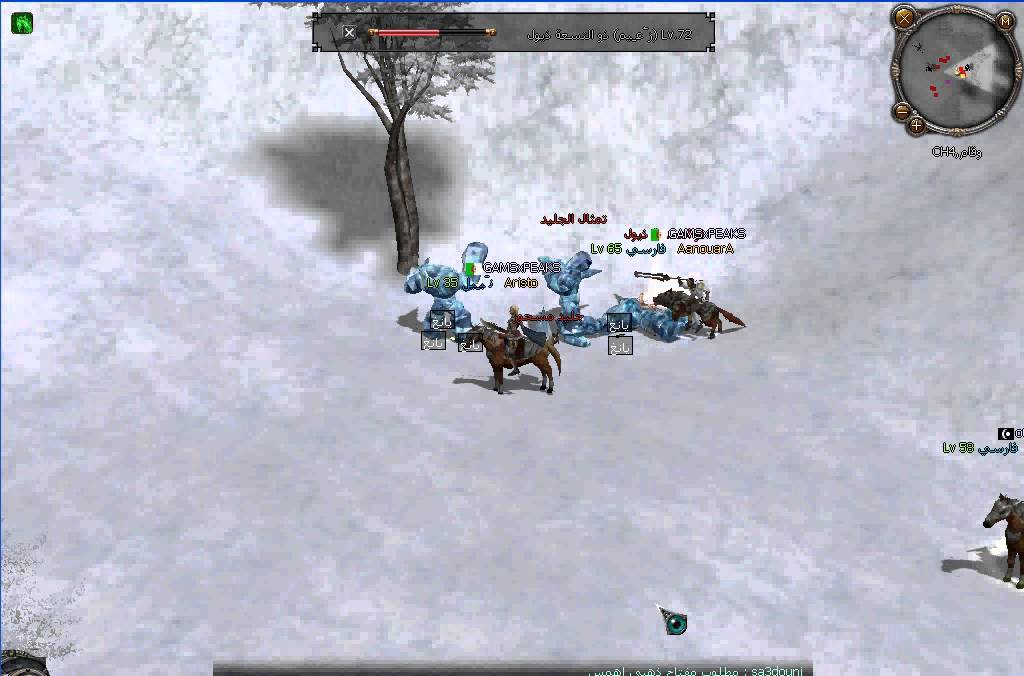AanouarA VS 9tails.metin2ae