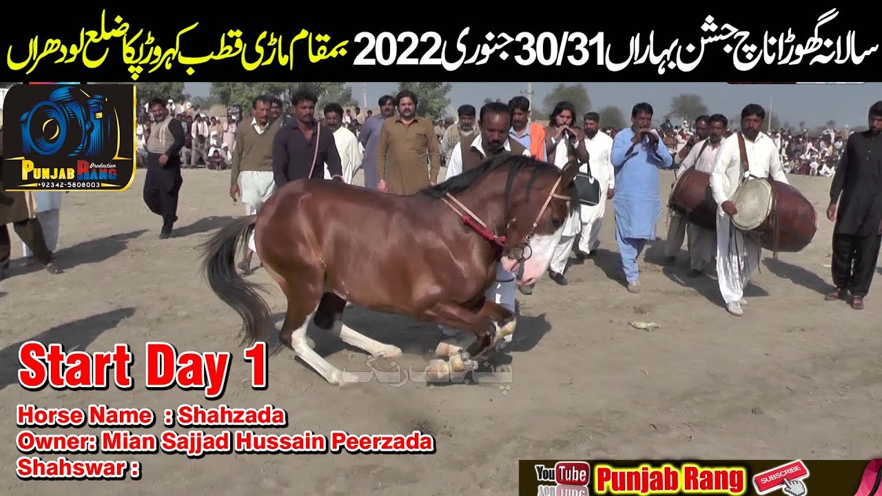 Shahzada ll Mian Sajjad Hussain Peerzada ll Horse Dance ll Mari Qutab Kahroar Pakka Lodhran 30 Ja