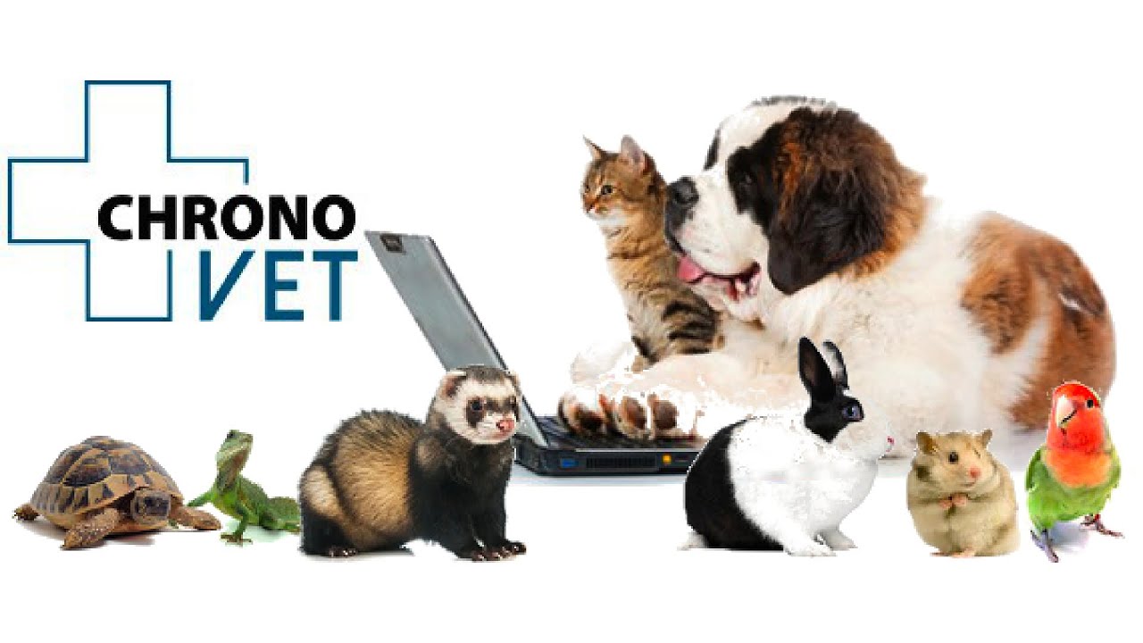 Chronovet : vente d'aliments en ligne, pour animaux de compagnie.