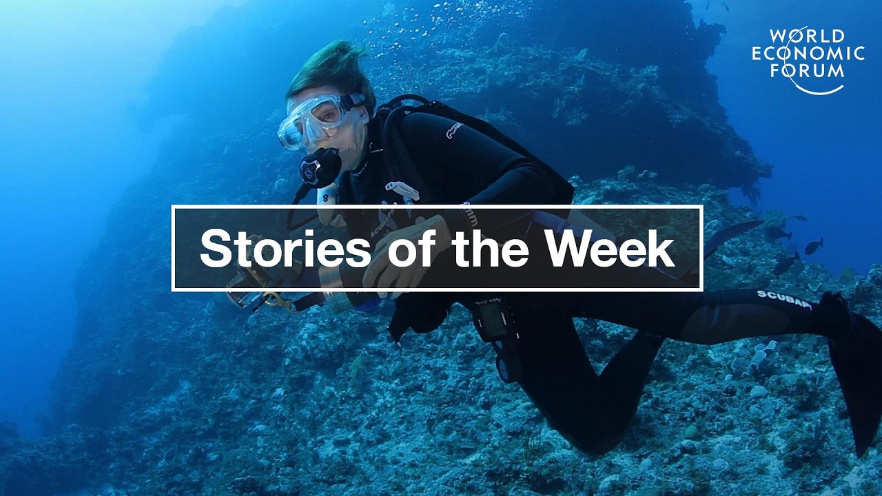 Lessons from the Ocean & The Importance of the Night-Time Economy | WEF | Top Stories of the Week