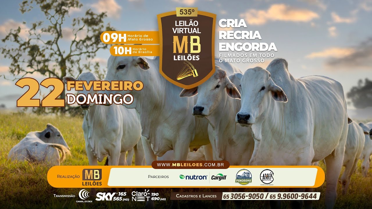 535° LEILÃO VIRTUAL - MB LEILÕES