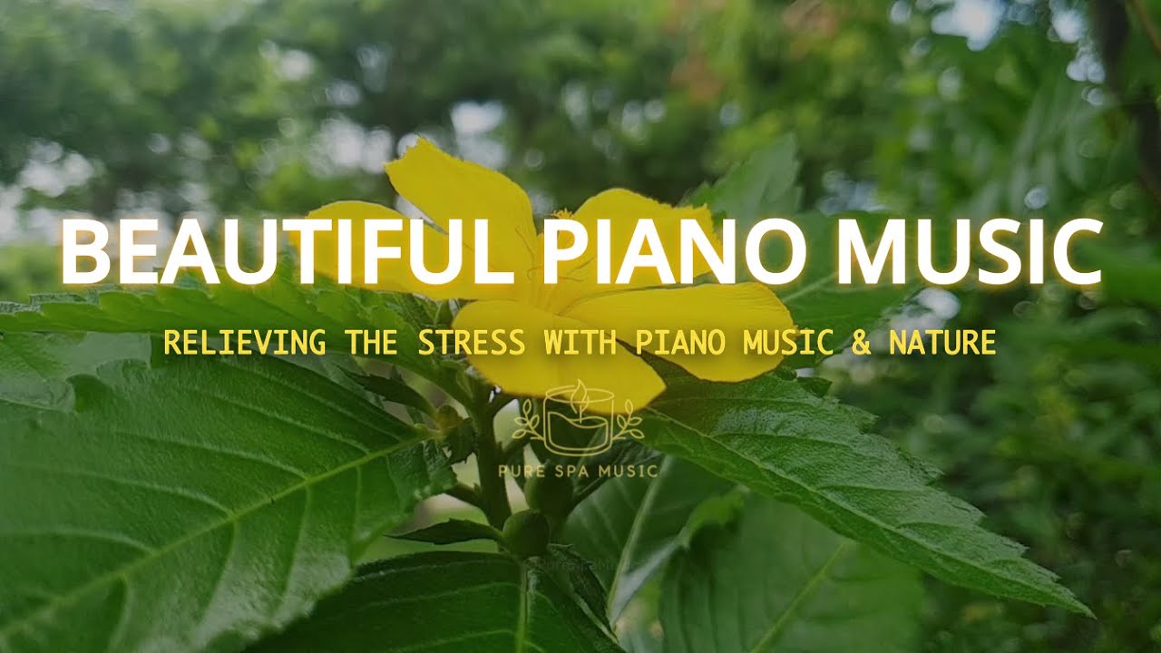 Beautiful Relaxing Music to Reduce Stress - Meditation Music 🌸 Pure Spa Music #relaxingmusic #piano