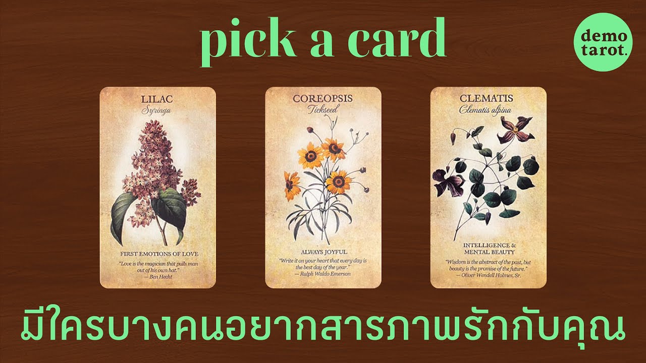มีใครบางคนอยากสารภาพรักกับคุณ 🍔💚 : PICK A CARD