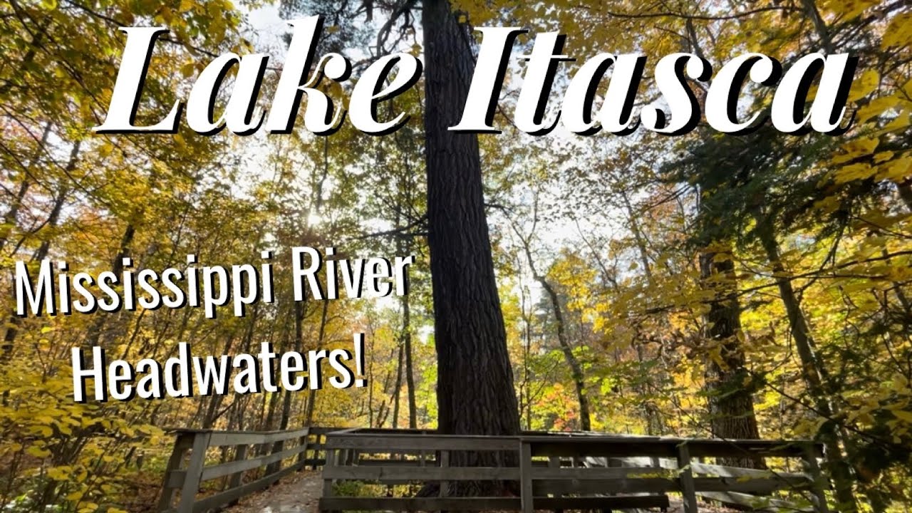 Itasca State Park Fall Colors! - Mississippi Headwaters - Huge Trees