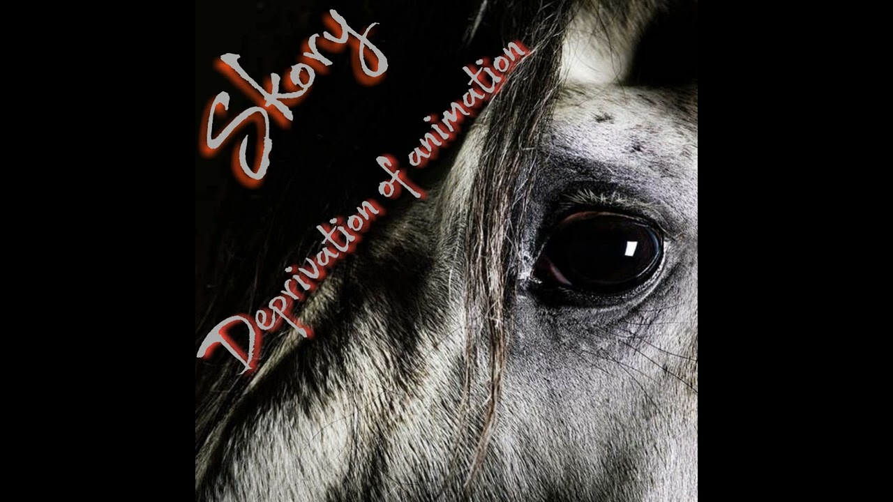 Skory - Deprivation Of Animation