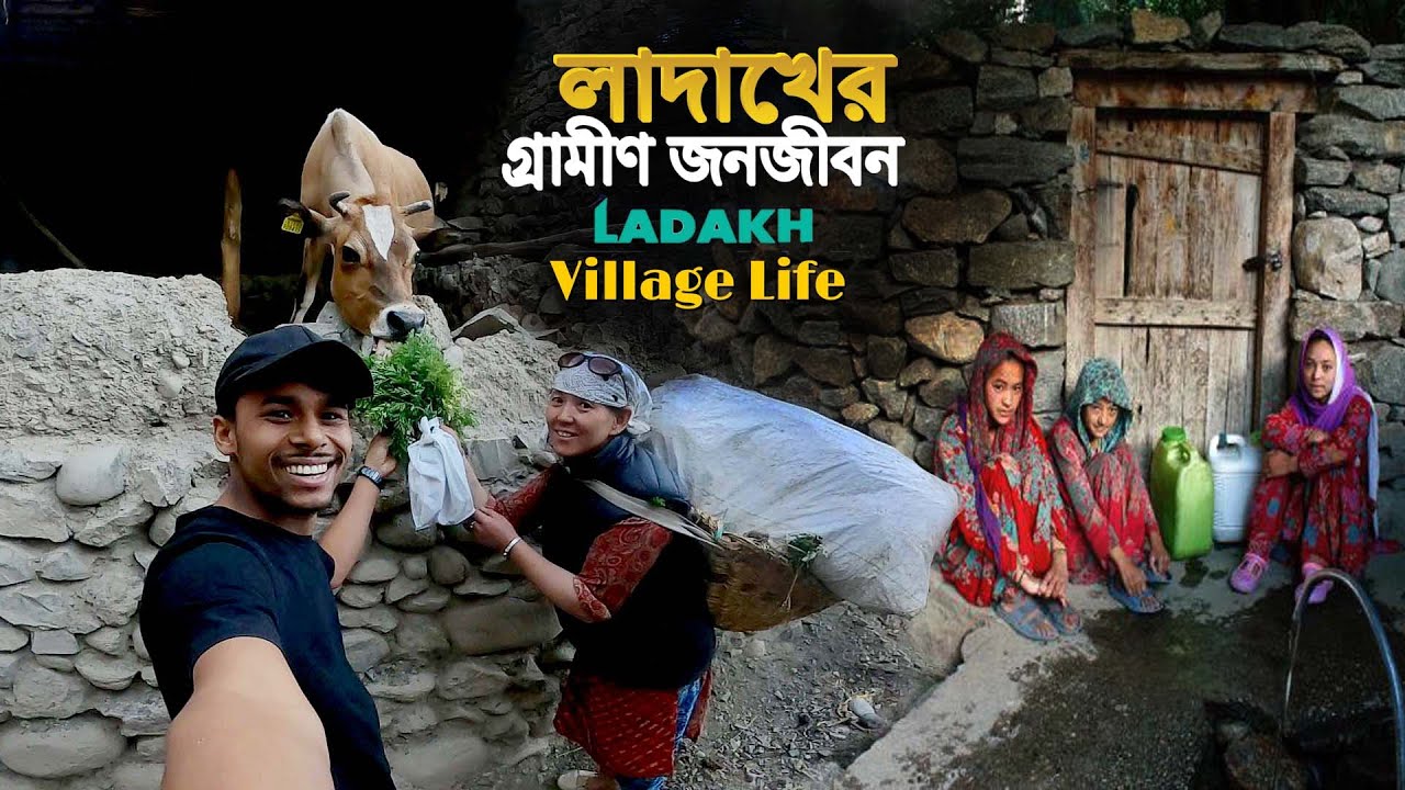 Village Life In Ladakh || লাদাখের পাহাড়ি গ্রাম ও গ্রামীন জীবনযাপন...